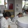 GirlsDay2011_52